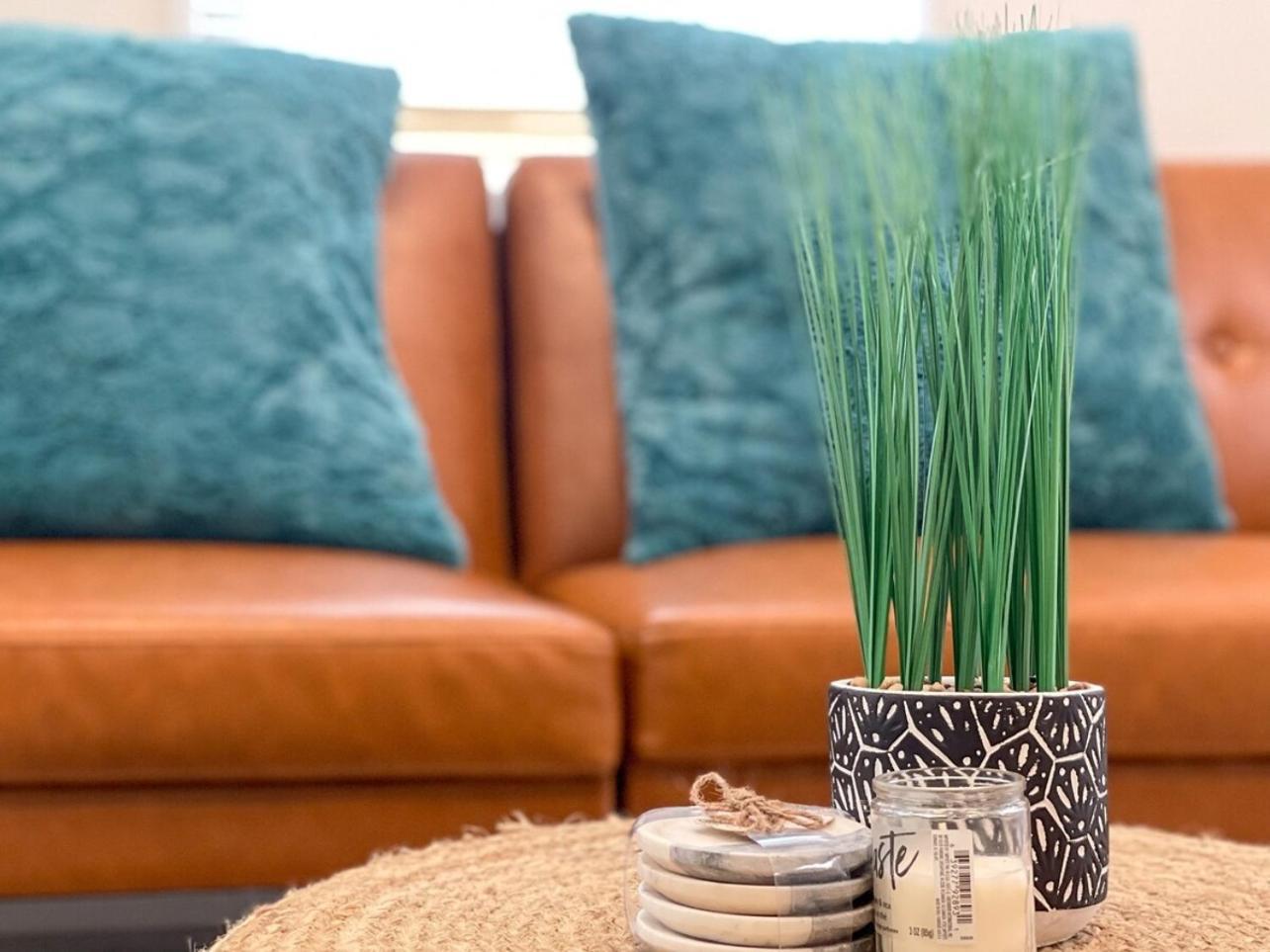 טאמפה Homey Cozy Newly Renovated Stylish&Chic 7 Guests מראה חיצוני תמונה