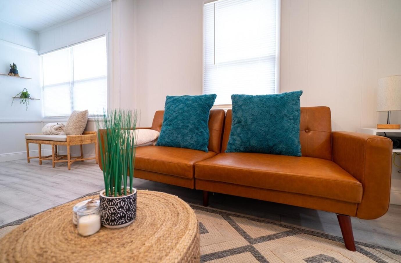 טאמפה Homey Cozy Newly Renovated Stylish&Chic 7 Guests מראה חיצוני תמונה