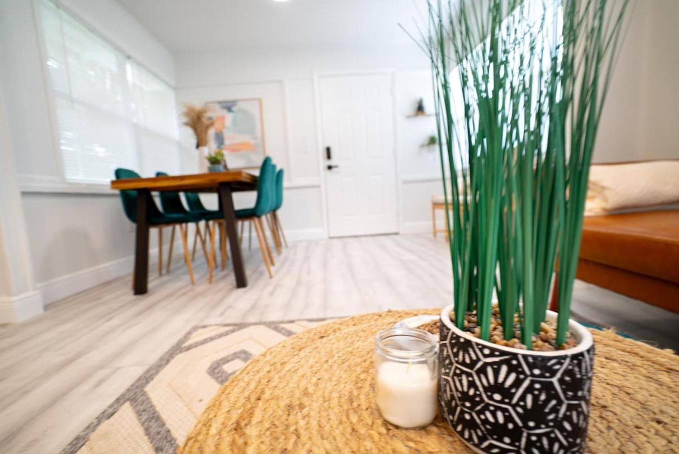 טאמפה Homey Cozy Newly Renovated Stylish&Chic 7 Guests מראה חיצוני תמונה